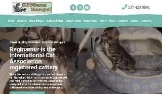 Website development for Website for a cattery in Philadelphia