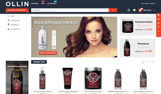 Website development for Online store in Germany